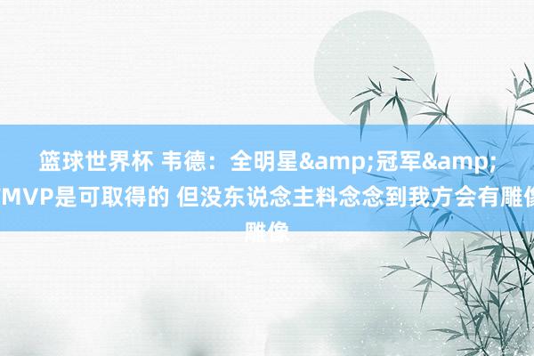 篮球世界杯 韦德：全明星&冠军&FMVP是可取得的 但没东说念主料念念到我方会有雕像