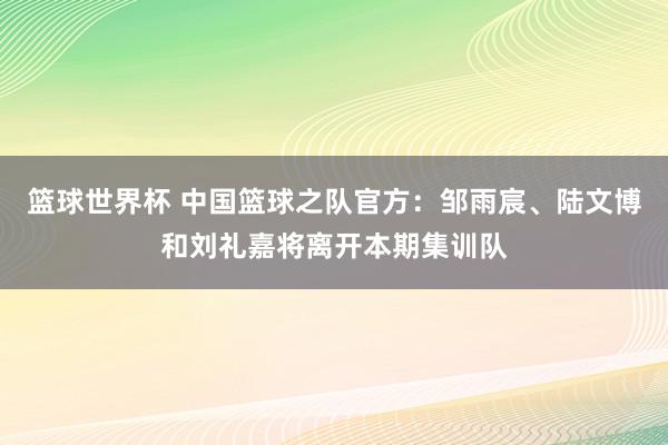 篮球世界杯 中国篮球之队官方：邹雨宸、陆文博和刘礼嘉将离开本期集训队