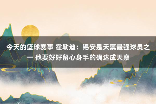 今天的篮球赛事 霍勒迪：锡安是天禀最强球员之一 他要好好留心身手的确达成天禀