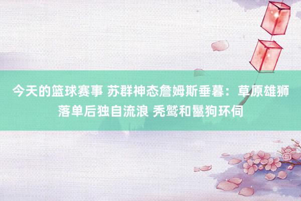 今天的篮球赛事 苏群神态詹姆斯垂暮：草原雄狮落单后独自流浪 秃鹫和鬣狗环伺