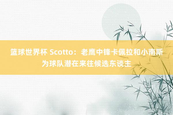 篮球世界杯 Scotto：老鹰中锋卡佩拉和小南斯为球队潜在来往候选东谈主